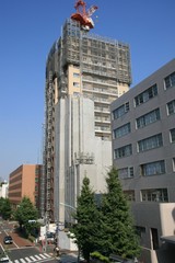 ������ȥ륨��������