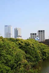 �ץ�ǥ󥷥�륿�