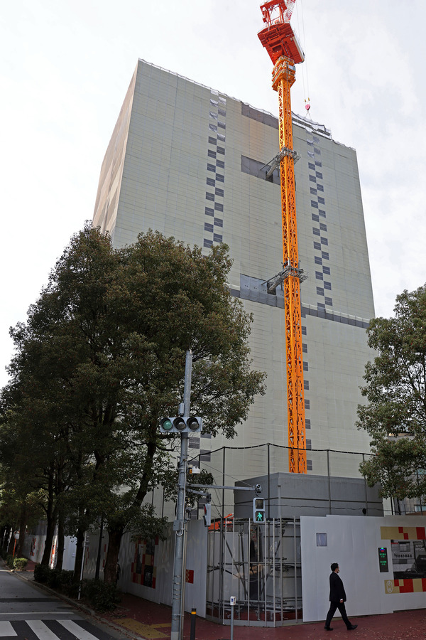 ��ݿ��ֺ�ӥ����