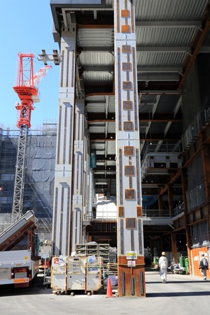 1϶ԳϺƳȯ Ķض̳(A1)