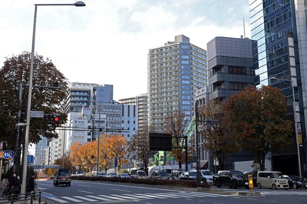 ���Ļ��������϶�Գ��ϺƳ�ȯ����