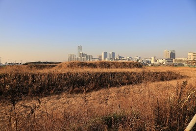 (²¾¾Î)ËëÄ¥¿·ÅÔ¿´½»ÂðÃ϶èSH2³¹¶è¢£ÉßÃϷײè