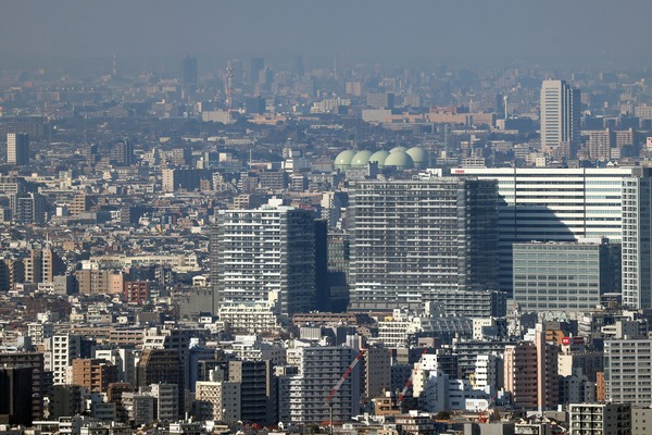 ��Į���϶�����Գ��ϺƳ�ȯ����