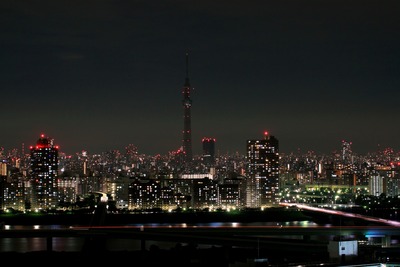 ����������ĥ꡼�Τ������