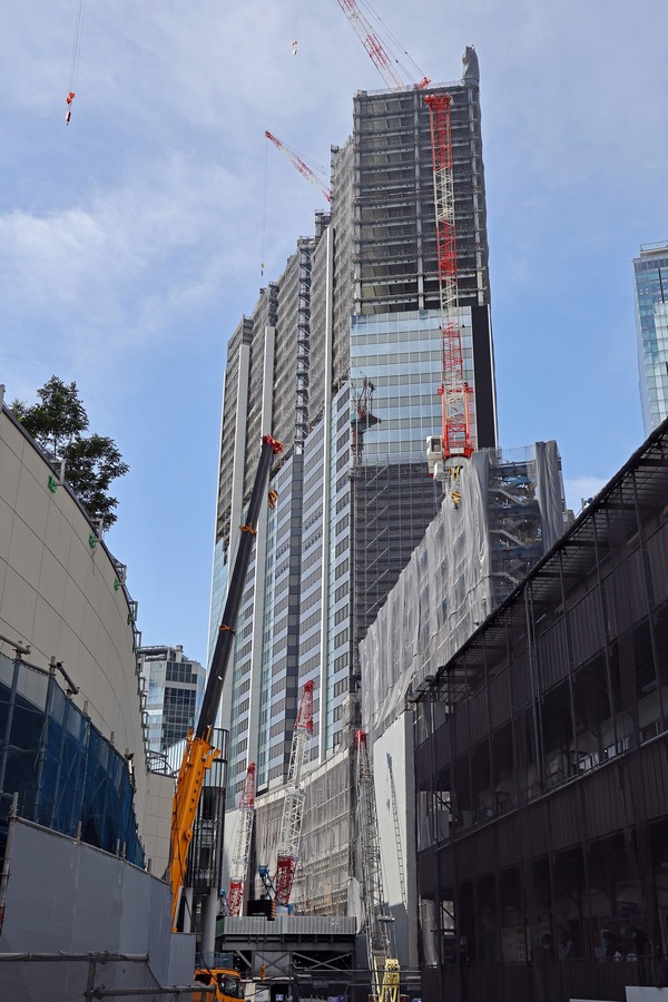 (����)��ë�غ��ָ��϶�����Ƴ�ȯ���� A����