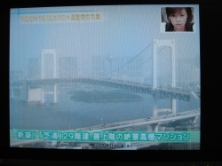 ���ͤΥ֥���