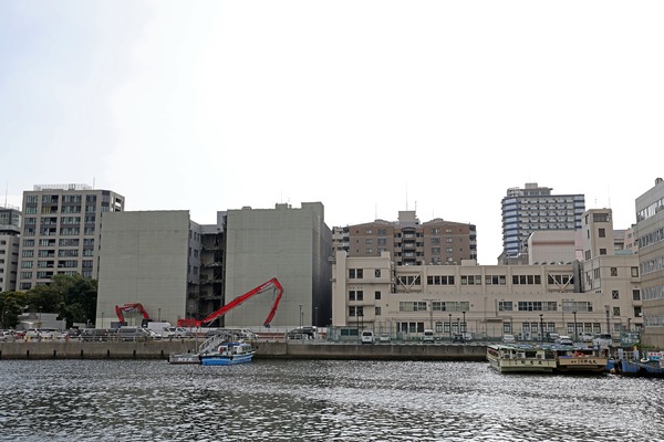 (����)���ͻ���賤���̷ײ�