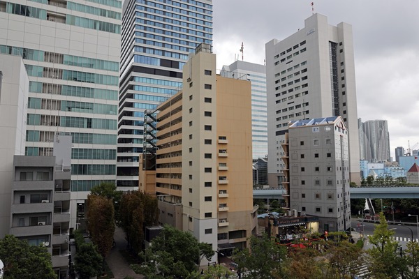 (����)��������ӥ롦��ʬ�ޥ󥷥����ؤ��ײ�