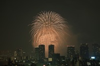 ��23���������ڲк�