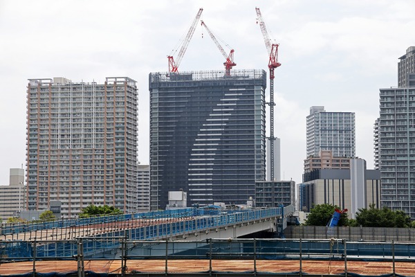 ��ӥ��������