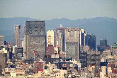 ���ܶ������Į����