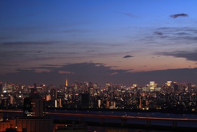 �������Τ������