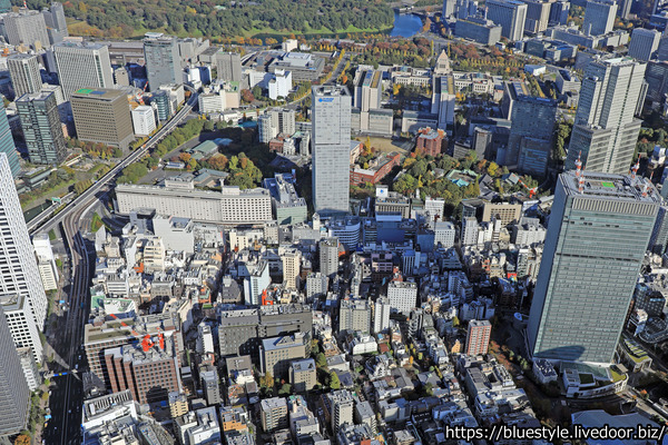 �����ư���ֺ�ӥ�