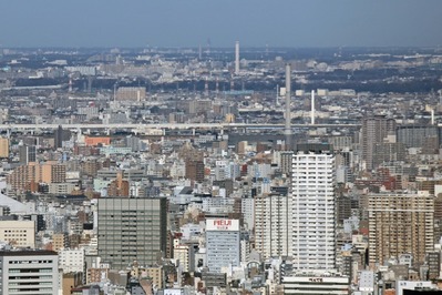 �����������į��