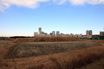 (²¾¾Î)ËëÄ¥¿·ÅÔ¿´½»ÂðÃ϶èSH2³¹¶è¢£ÉßÃϷײè