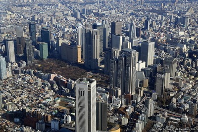 新宿の超高層ビル群の空撮