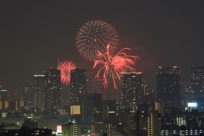 ��23���������ڲк�