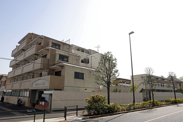 ��Į���϶�����Գ��ϺƳ�ȯ����