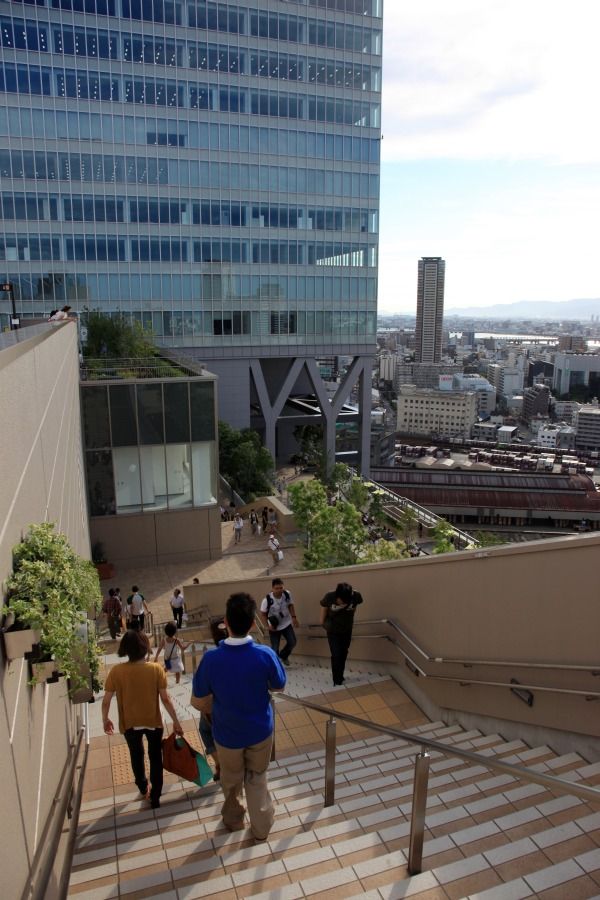 大阪ステーションシティ ノースゲートビルディングの天空の農園 超高層マンション 超高層ビル 大阪ステーションシティ ノースゲートビルディングの天空の農園 超高層マンション 超高層ビル