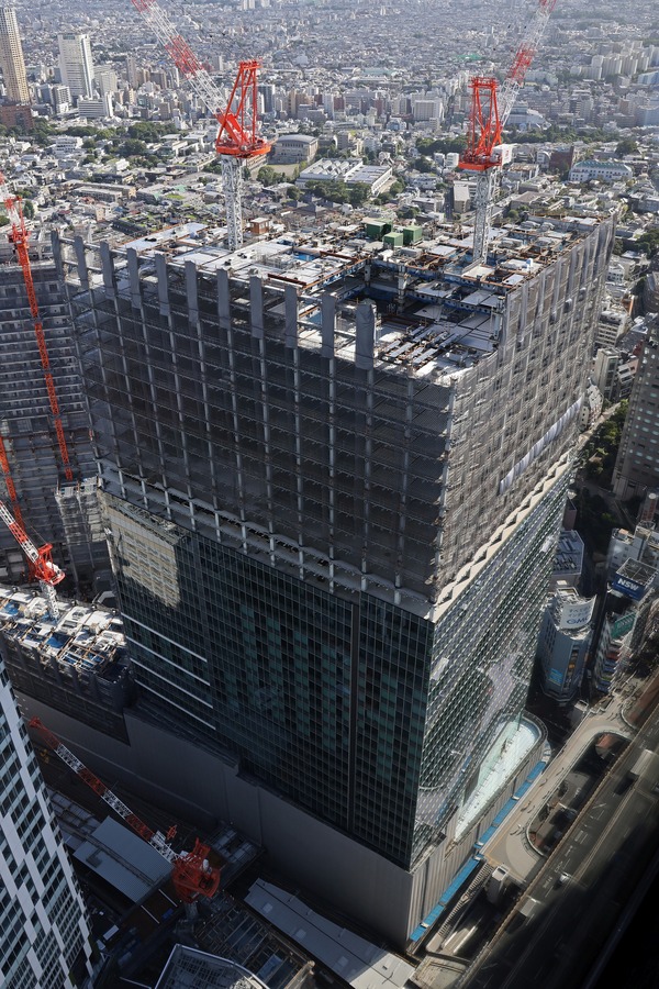 (����)��ë�غ��ָ��϶�����Ƴ�ȯ���� A����