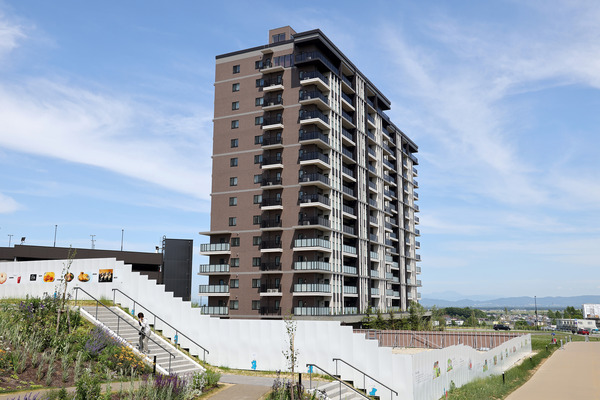 �졦���������̳�ƻ�ܡ���ѡ���