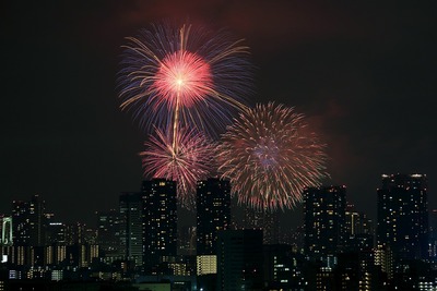 ����Ѥβֲ�������24���������ڲкס�