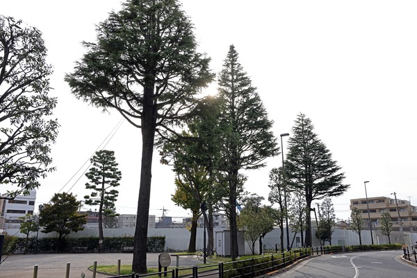 ¥Ñ¡¼¥¯¥·¥Æ¥£ÃæÌî ¥¶ ¥¿¥ï¡¼ ¥Ö¥ê¡¼¥º