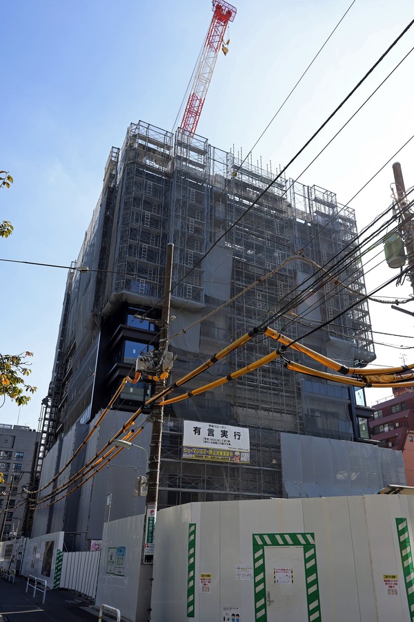 ���ȥ饹�����ȿ��