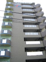 ��������ۡ���NO.15