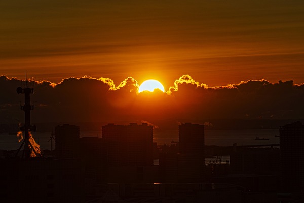 東京タワーから見た初日の出