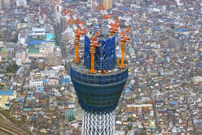 �إꥳ�ץ�����������������ĥ꡼��˾��Ƕ���