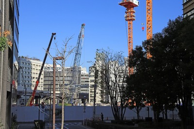 �ֺ�������϶�����Գ��ϺƳ�ȯ����