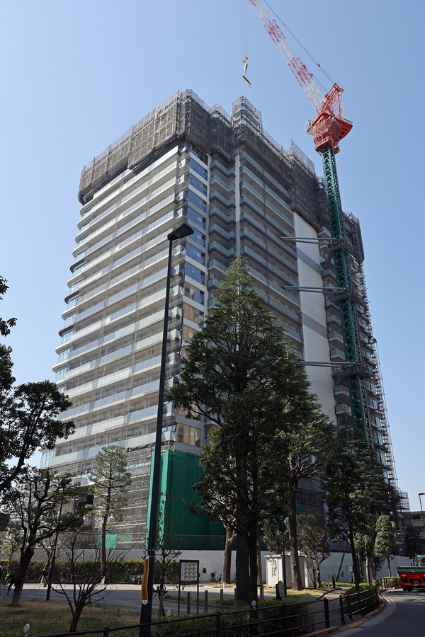 ¥Ñ¡¼¥¯¥·¥Æ¥£ÃæÌî ¥¶ ¥¿¥ï¡¼ ¥Ö¥ê¡¼¥º