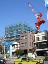 �饤���󥺻�ë���������