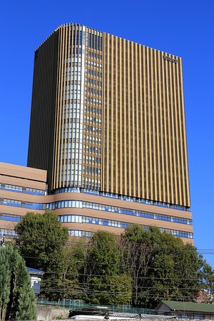 SORATIO SQUARE�ʥ���ƥ�������������