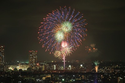 �����������ֲ����