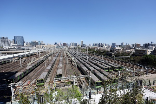 ���ơ������ץ饶���鸫����������ξ����