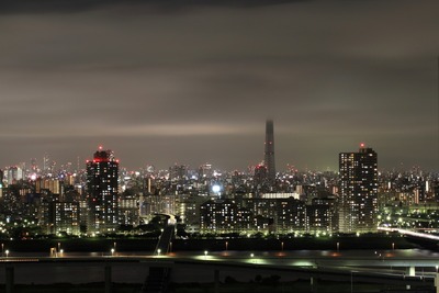 ���٤�������������ĥ꡼�Τ������