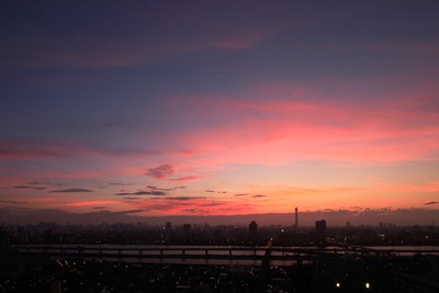 ����������ĥ꡼�Τ���ͼ��