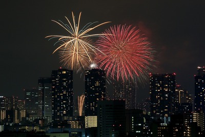 ����Ѥβֲ�������24���������ڲкס�