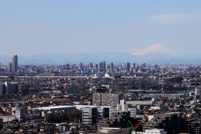 �ϡ���ͥ������������������ٻλ����̤�į��