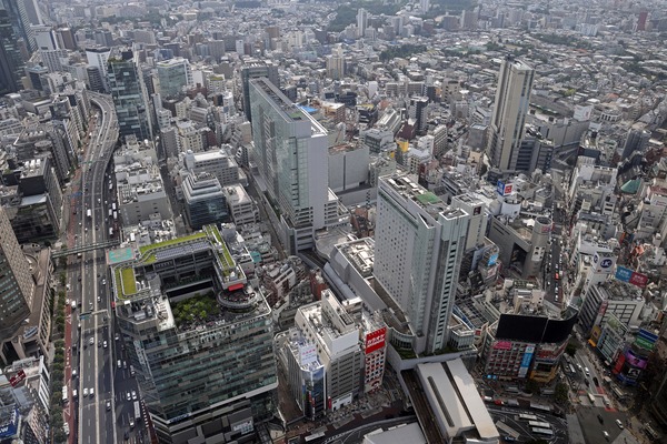 ƻ�������������϶�����Գ��ϺƳ�ȯ����