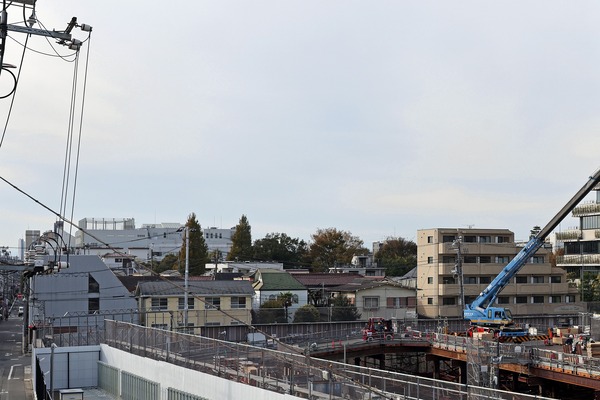 ��Į���϶�����Գ��ϺƳ�ȯ����