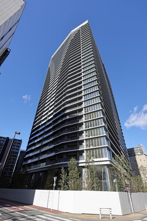 ��ӥ��������