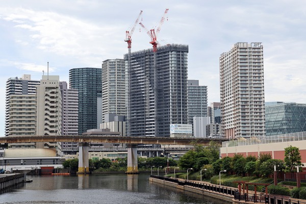 ��ӥ��������