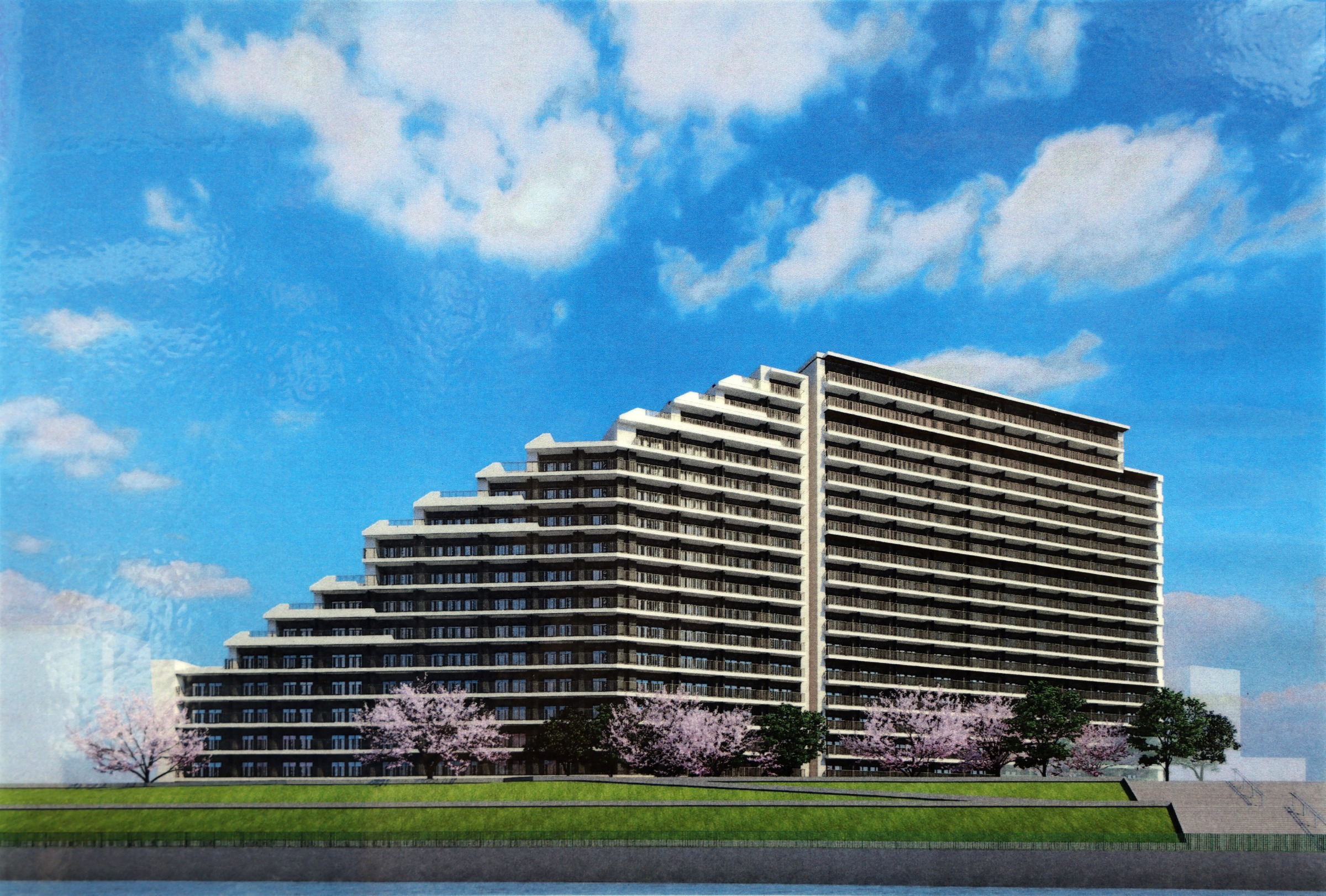 仲村 2019 Kawasaki NINJA ZX10R - DMC Moto Birmingham