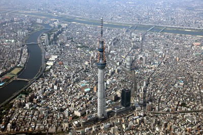 ����������ĥ꡼�ζ���