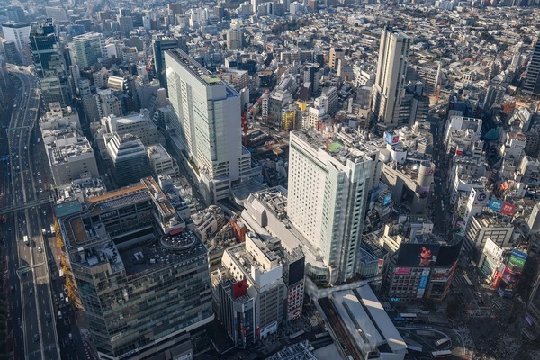 ƻ�������������϶�����Գ��ϺƳ�ȯ����