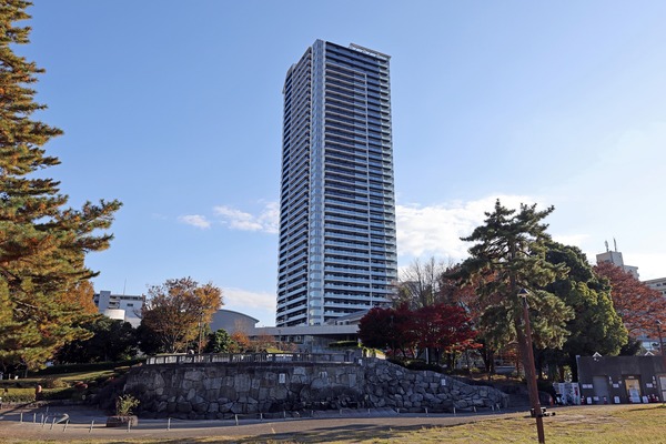 �ץ饦�ɥ�������������