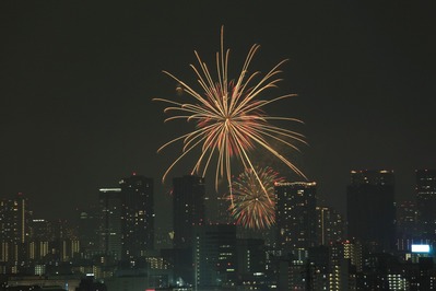 ��22���������ڲк�